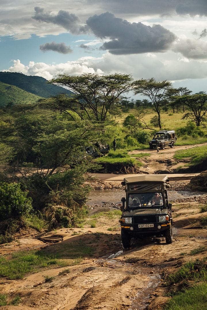 Safaris
